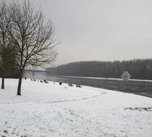 Am Rhein im Winter