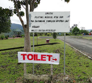 Wildlife Expeditions