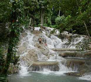 Wenn man Glück hat...