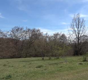 Naturreservat Beutenlay