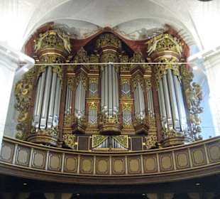 St. Wilhadi Kirche - Orgel