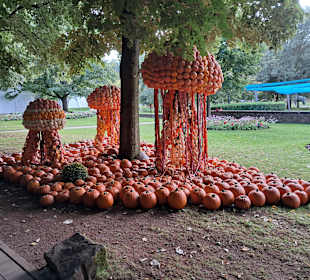 Gartenschau in Kaiserslautern