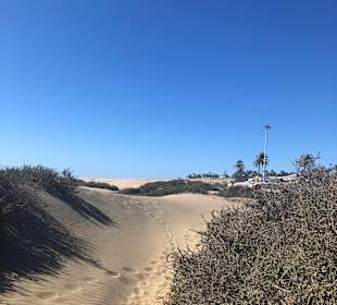 Dünen von Maspalomas