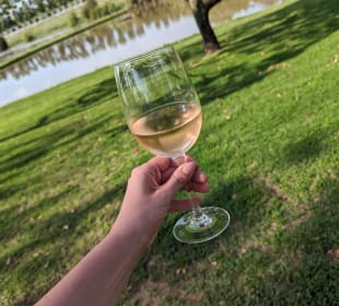 Weinanbaugebiet Stellenbosch