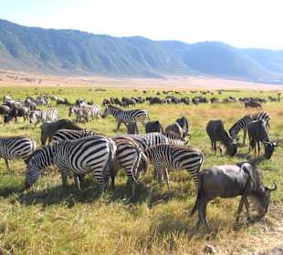Inside The Ngorongoro Crater