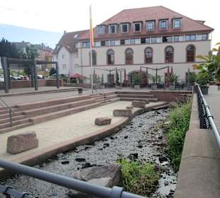  Triefenbach - Offenlegung am Schafplatz