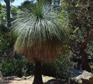Taronga Zoo