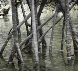 Hong Island/Koh Hong