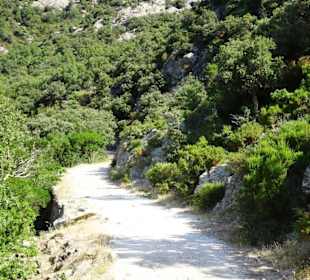 Wanderweg zur Massane