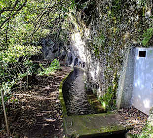 Der Weg wird ursprünglicher