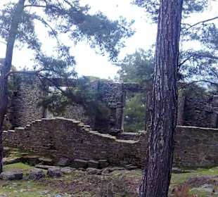 Ruine Seleukeia/Lyrbe