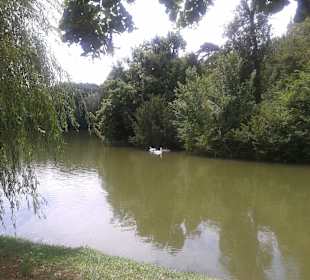 Blick von der Terrasse des Restaurants