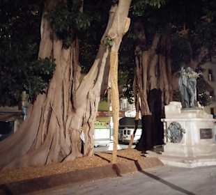 Baum