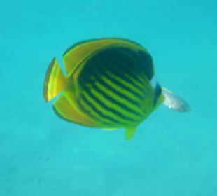 Sie waren wirklich so nah