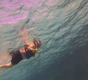 Einmalie Erlebnisse mit Mo´s Delfinen