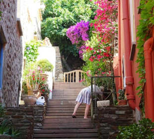 Spaziergang durch die Altstadt von Collioure