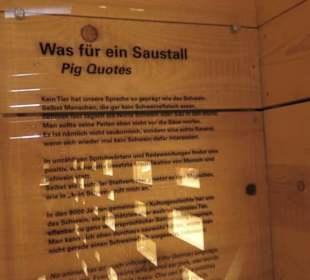 SchweineMuseum
