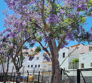 Inselrundfahrt Gran Canaria