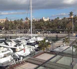 Port de Palma