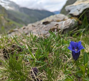 Wandern Bramberg am Wildkogel