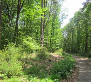 Westwallweg Oberotterbach