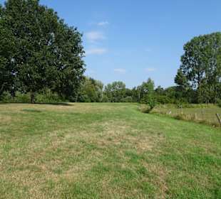 Sommer-Impressionen aus dem Park Links der Weser