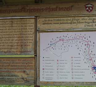 Über den Bergwald-Erlebnispfad hoch zum Frillensee