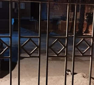 Stadtrundgang Hurghada