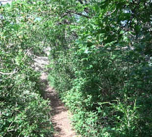 Premiumwanderweg "hochgelegen"