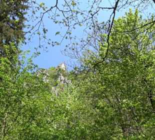 Premiumwanderweg Hochgehschätzt