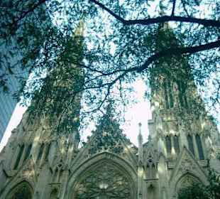 St. Patrick's Cathedral