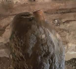 Ghar Dalam Cave & Museum
