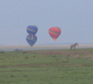 Pirschfahrt am Morgen