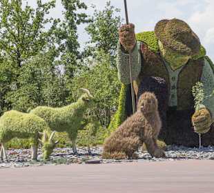 Schäfer mit Herde und Hund