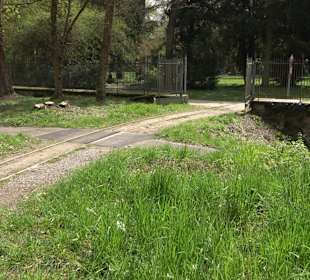 Schlossgarten Karlsruhe