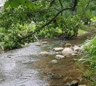Im Adventure Camp können Sie ein aktives oder