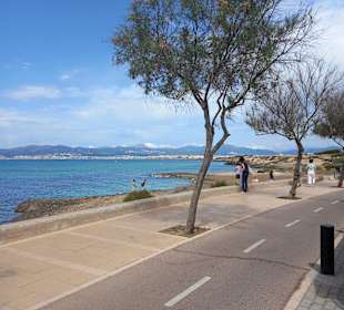 Stadtrundfahrt Palma