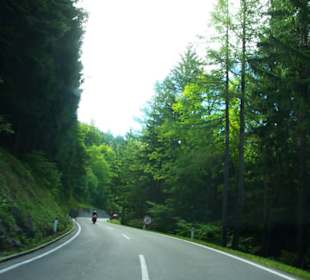 Durch die Wälder hindurch