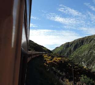 Mitder Taileri Railway durch die Natur Neuseelands