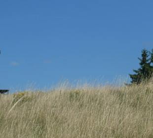 Blick hoch zur Platzer Kuppe