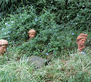 Ganz versteckt im hinterem Eck