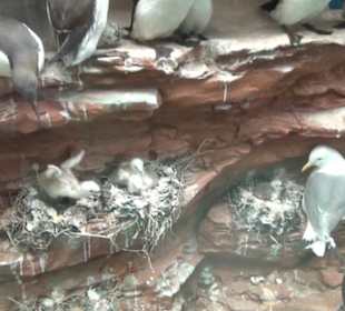 Meeresmuseum Stralsund