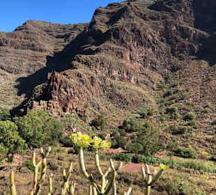 Inseltour Romántica Alltours