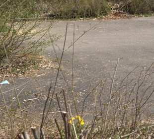 Wanderparkplatz Rauhmühle