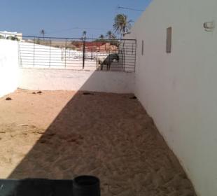 Paddocks hinter dem Stall