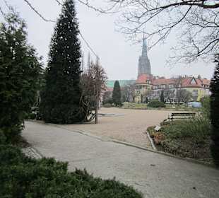 Breslauer Altstadt Botanischer Garten