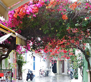 Gasse mit Bougainvillea in der Altstadt 