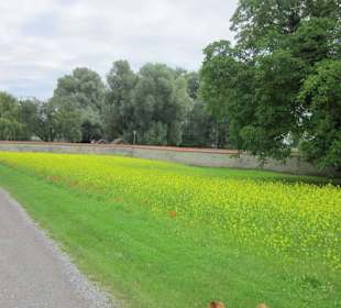 Insel Reichenau Münster