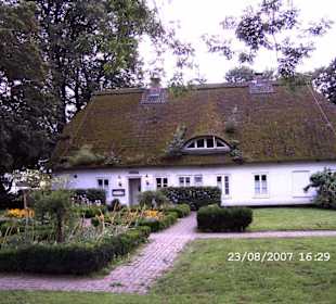 Withus beim Hirschpark Blankenese