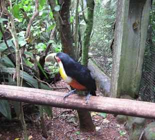 Exotische Fauna und Flora zum anfassen
